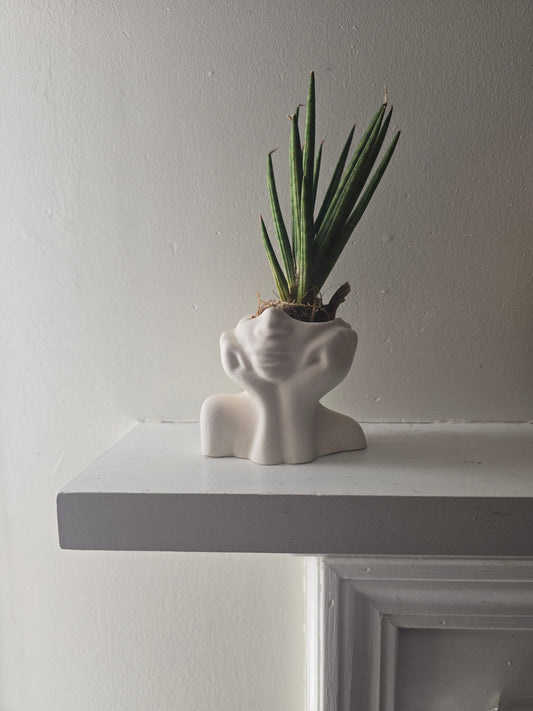 Bini Vase